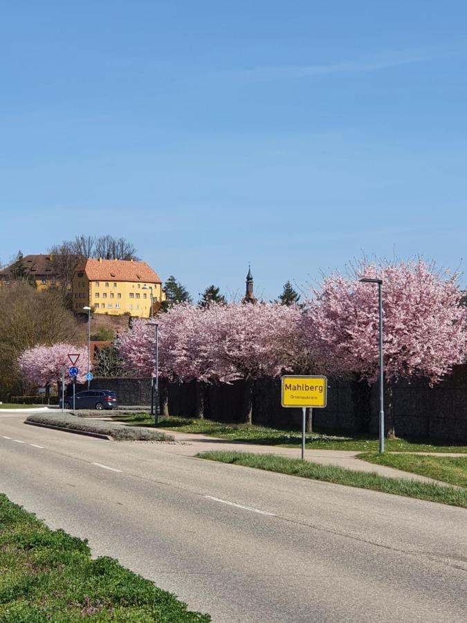 Ferienwohnung Zum Schlossblick Naehe Europa Park Mahlberg Buitenkant foto