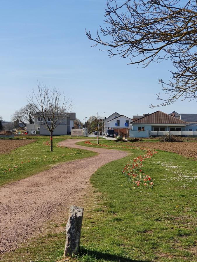Ferienwohnung Zum Schlossblick Naehe Europa Park Mahlberg Buitenkant foto
