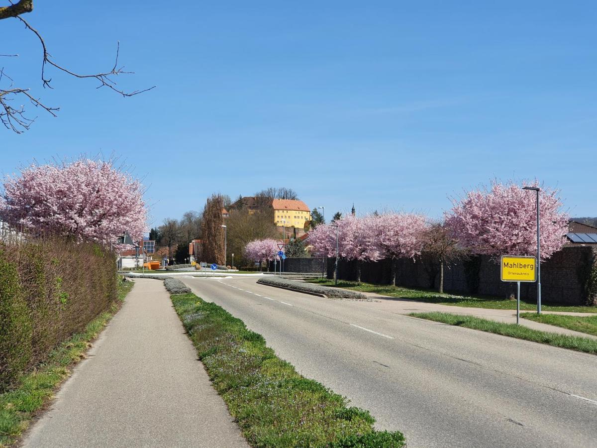 Ferienwohnung Zum Schlossblick Naehe Europa Park Mahlberg Buitenkant foto